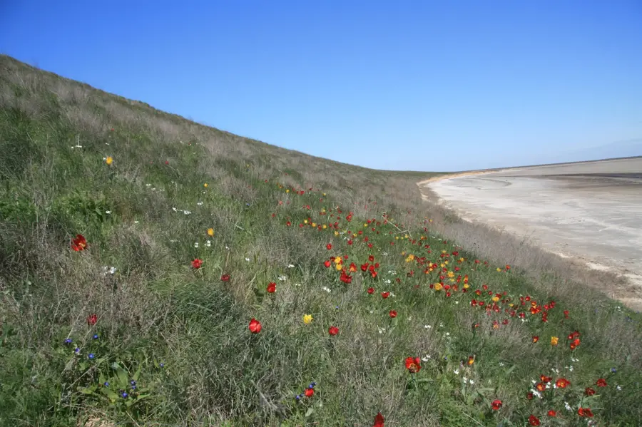 Nationalpark Asow-Sywasch