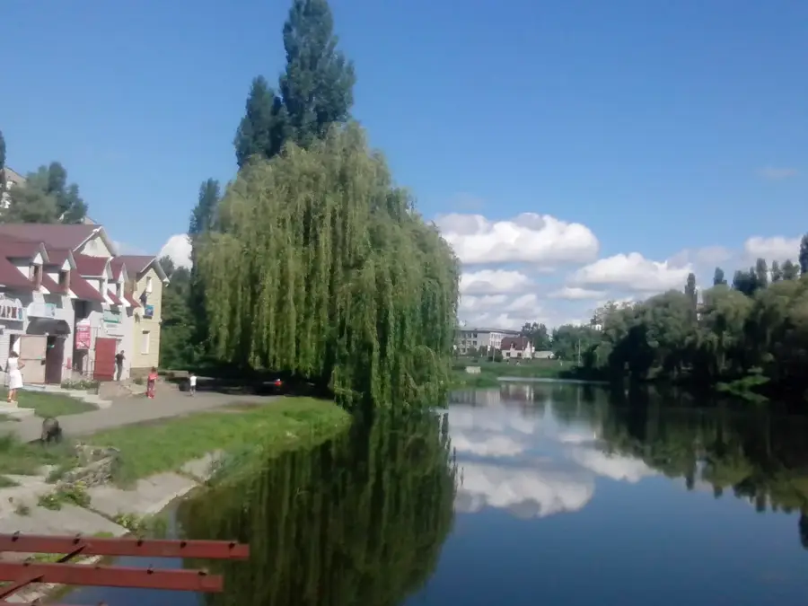 Borodianka
