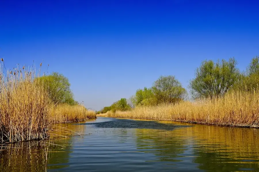 Alsó-Dnyeszter Nemzeti Park