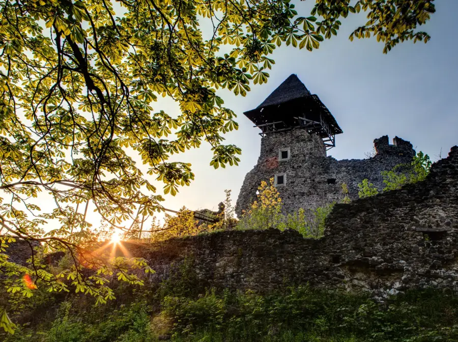 Burg Newyzke