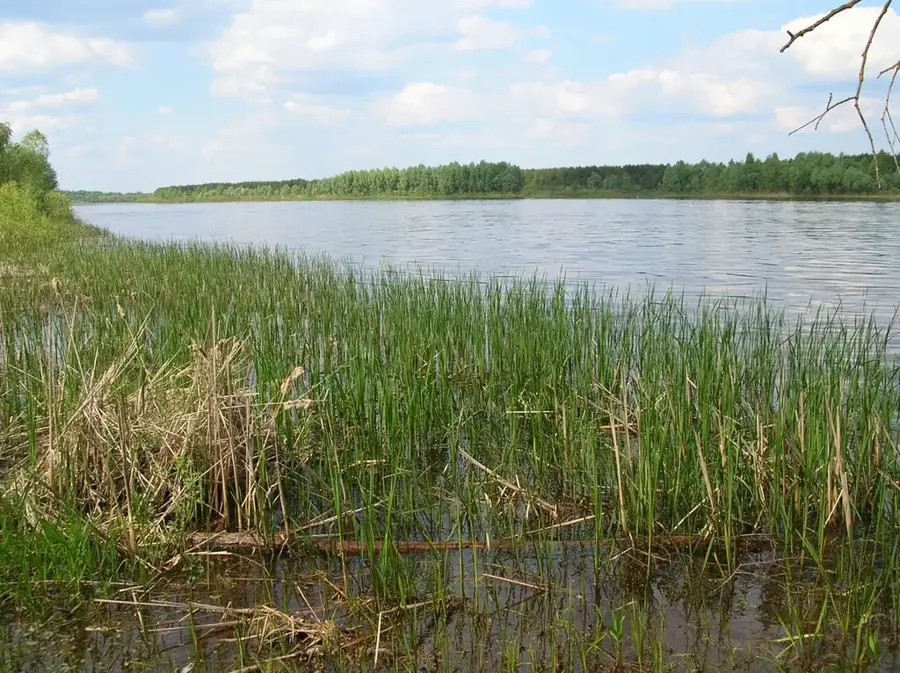 Pripyat-Stokhid National Nature Park