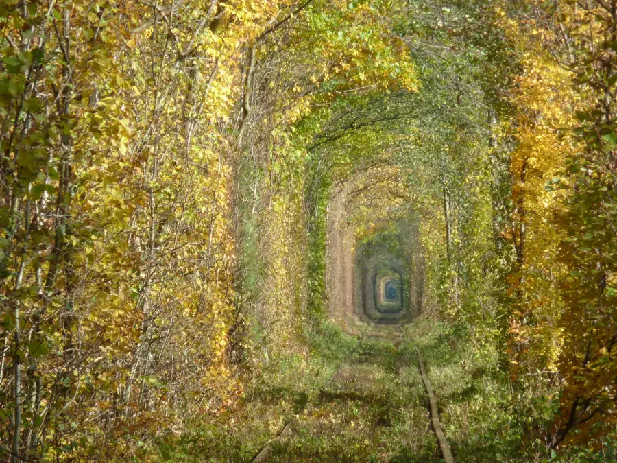 Tunnel of Love