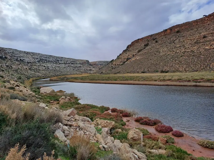 Umm al Rizam — Al Qubbah (Libya)