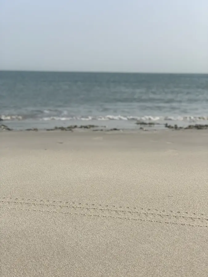 Mina Al Arab