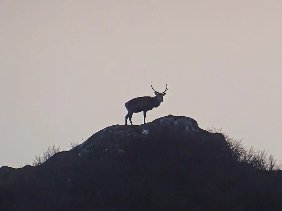 Achmelvich (Egyesült Királyság)