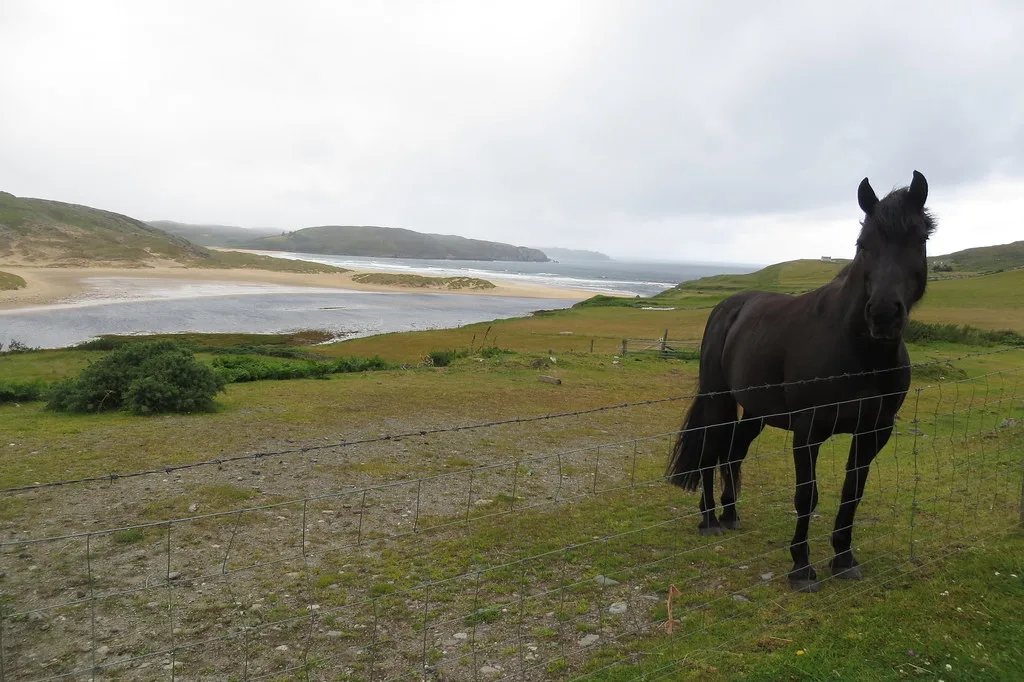 Bettyhill — Melness (Regatul Unit)