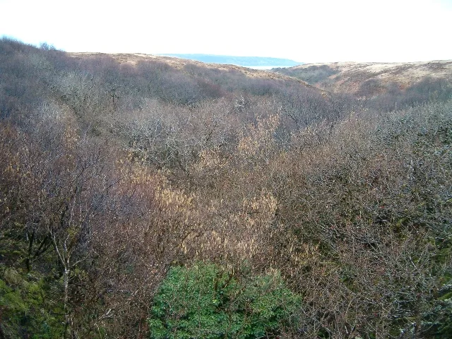 Glenegedale