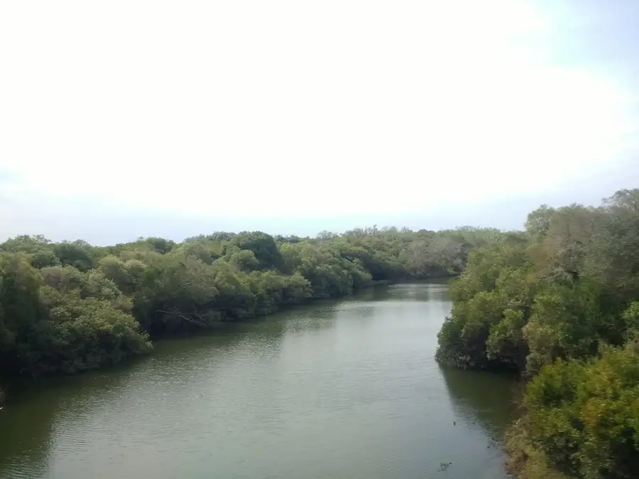 Termas de Guaviyú — Boreal Hemp Processing Facility (Uruguay)