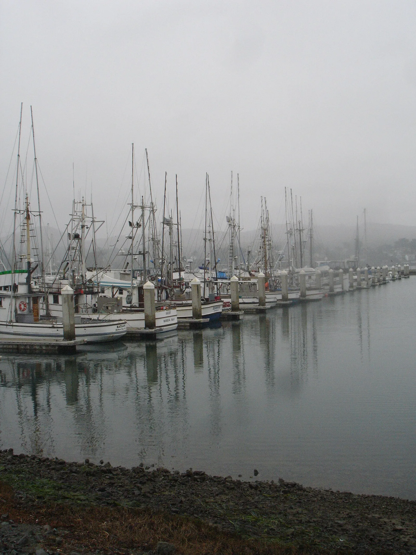 Bodega Bay
