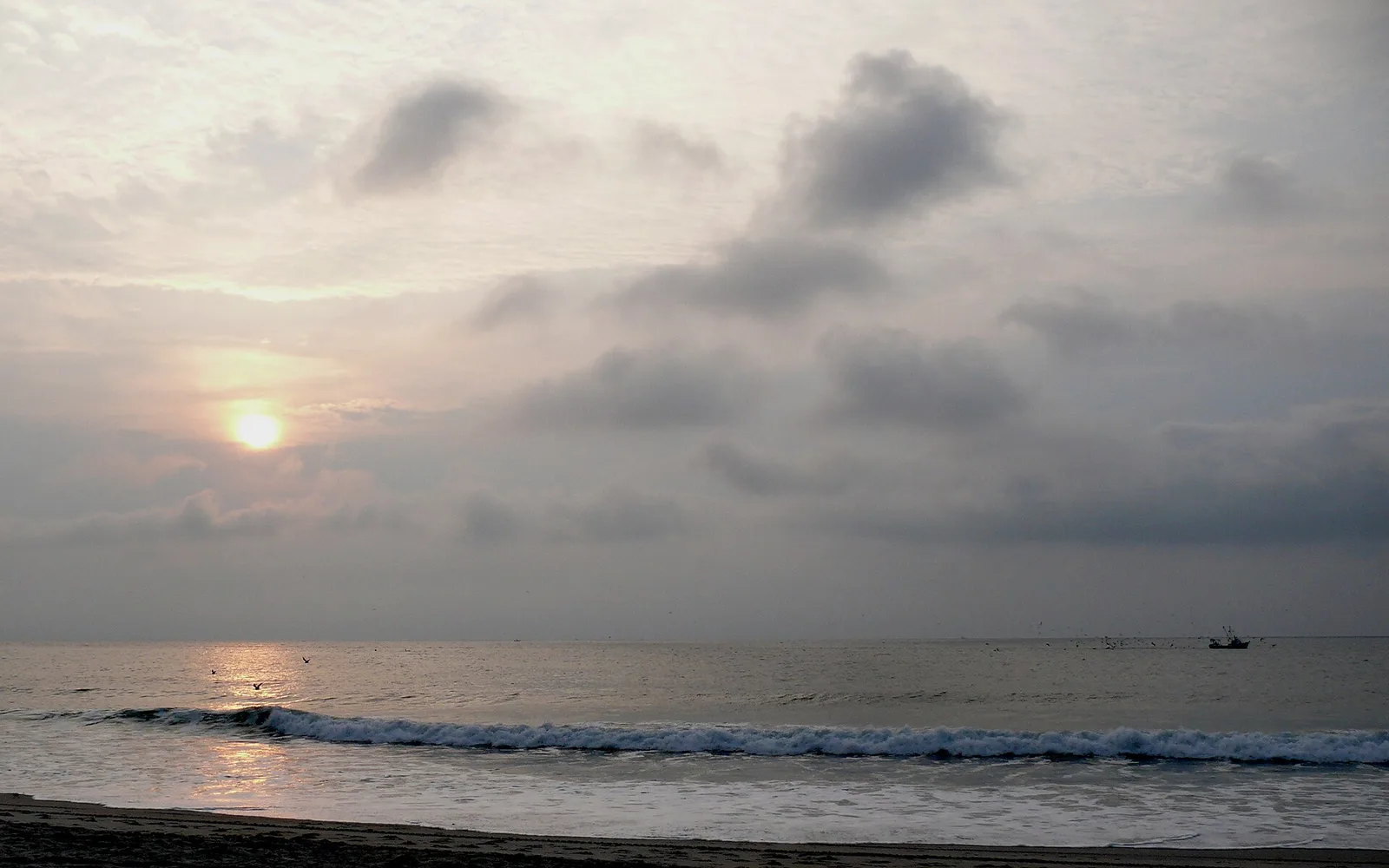 Carolina Beach — Pisgah National Forest (United States)
