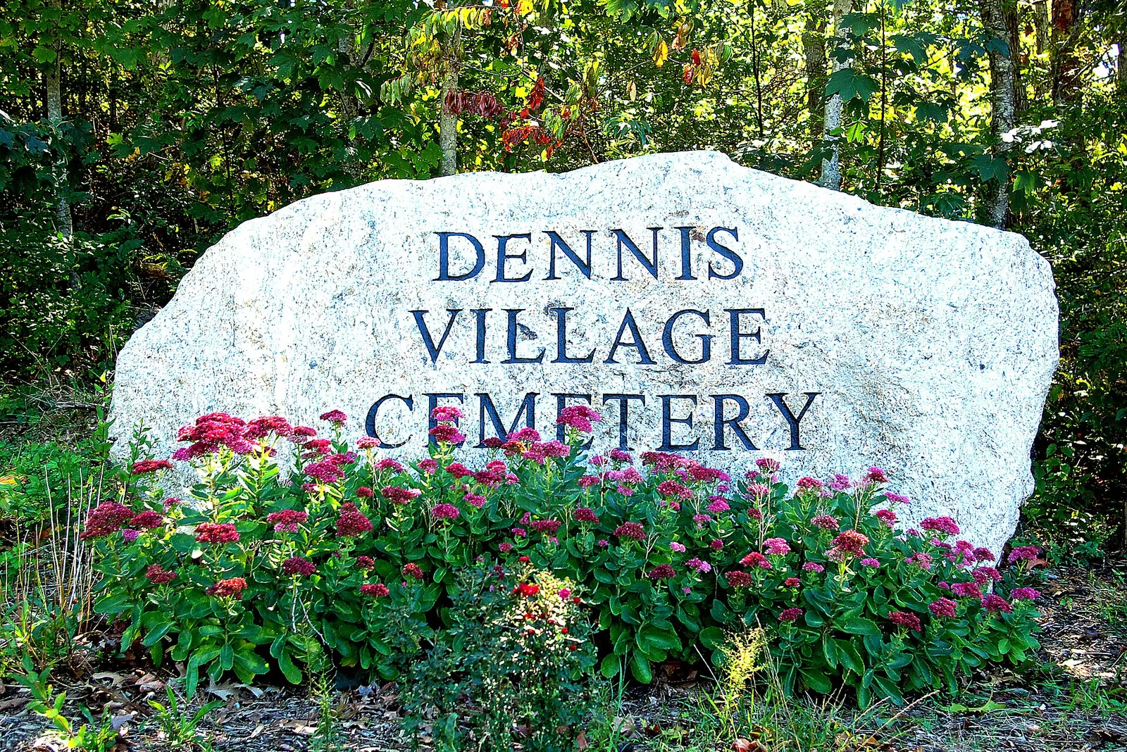 Dennis