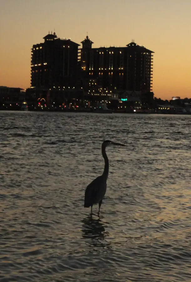 Destin — Montgomery (United States)