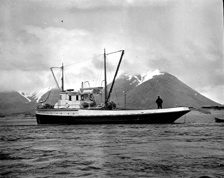 King Cove — Bering Sea (United States)