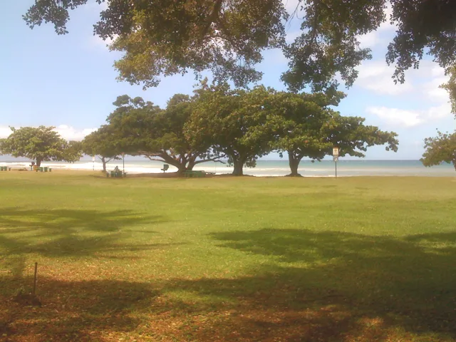 Napili — Mauna Kea (USA)
