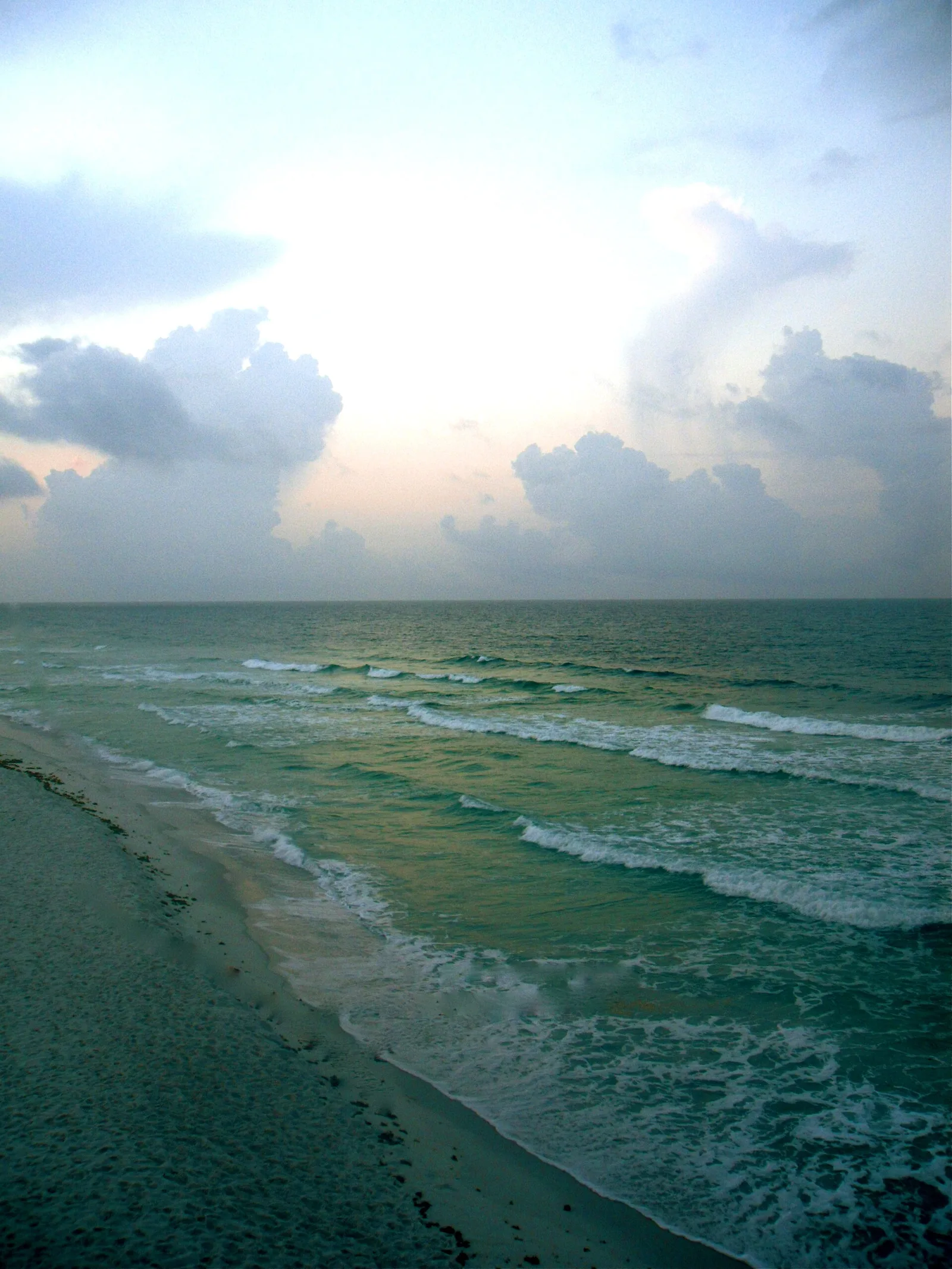 Navarre — Montgomery (United States)
