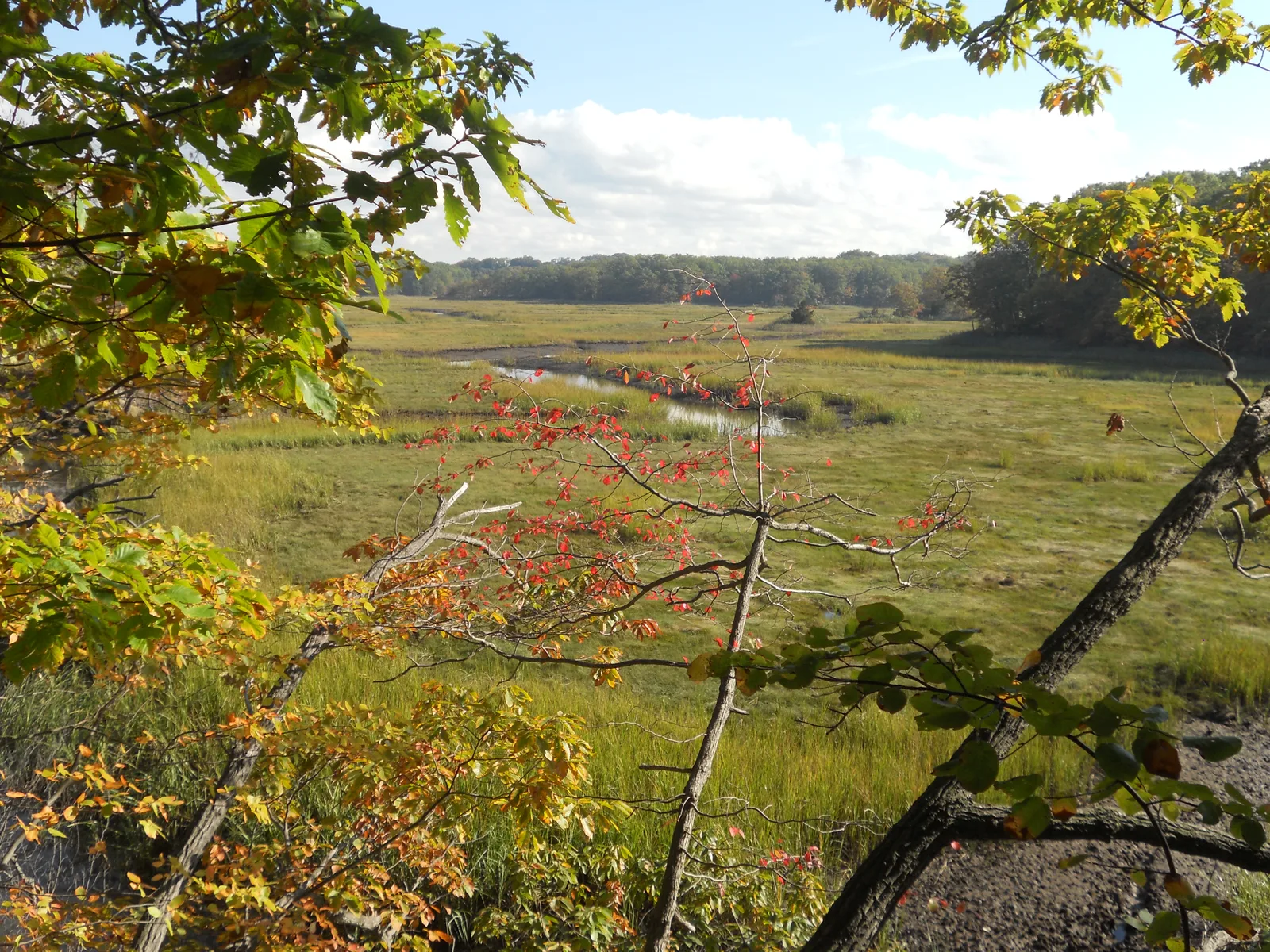 Old Bridge Township