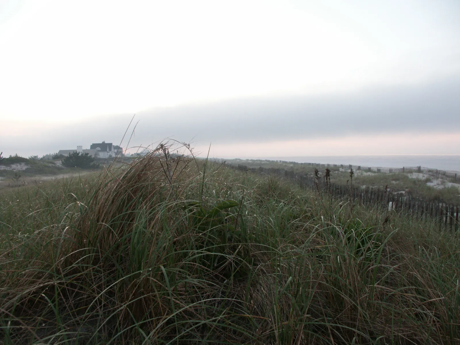 Quogue