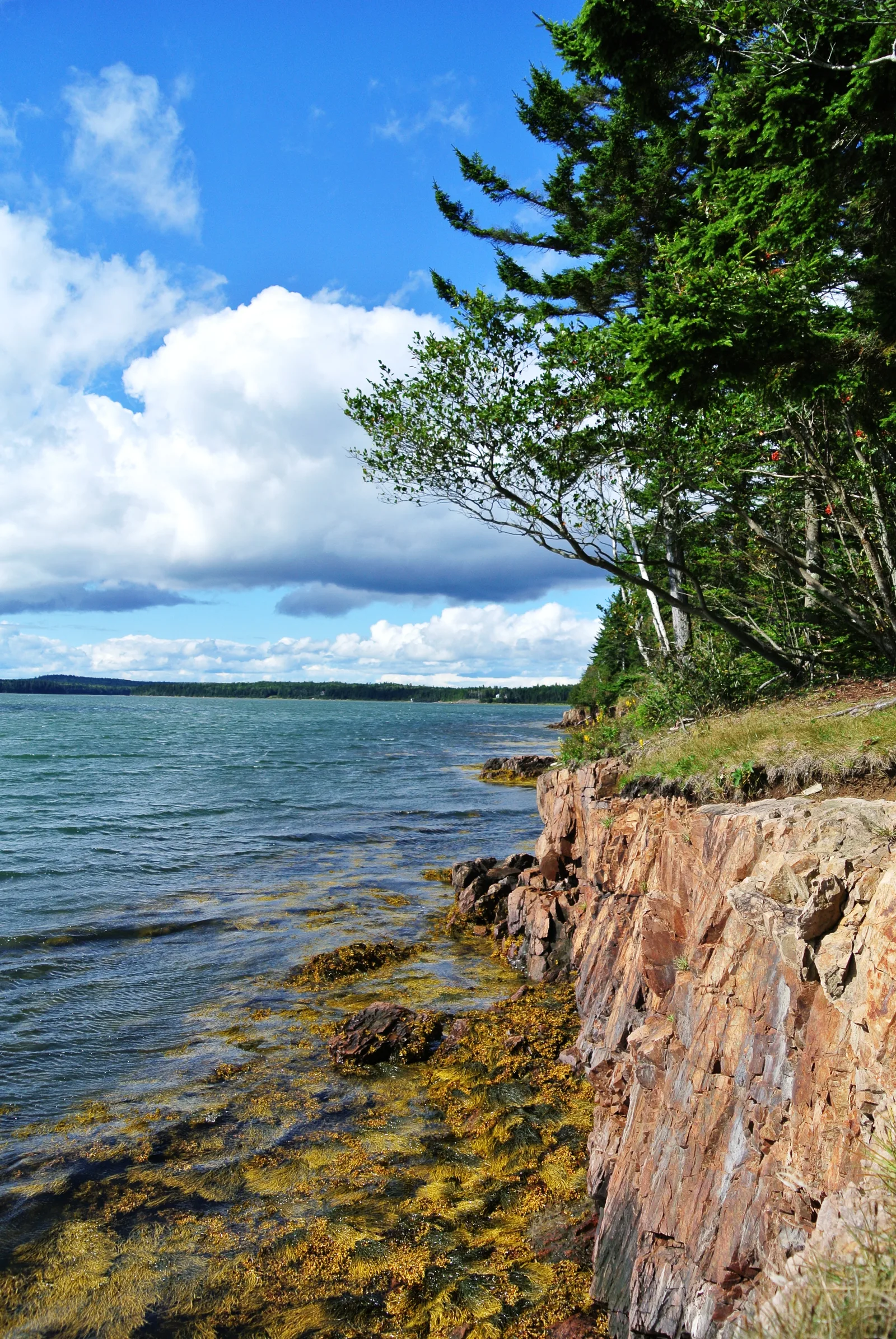 Roque Bluffs