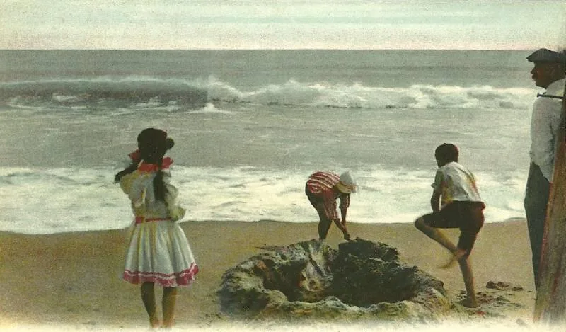 Salisbury Beach — Pădurea Națională White Mountain (Statele Unite)