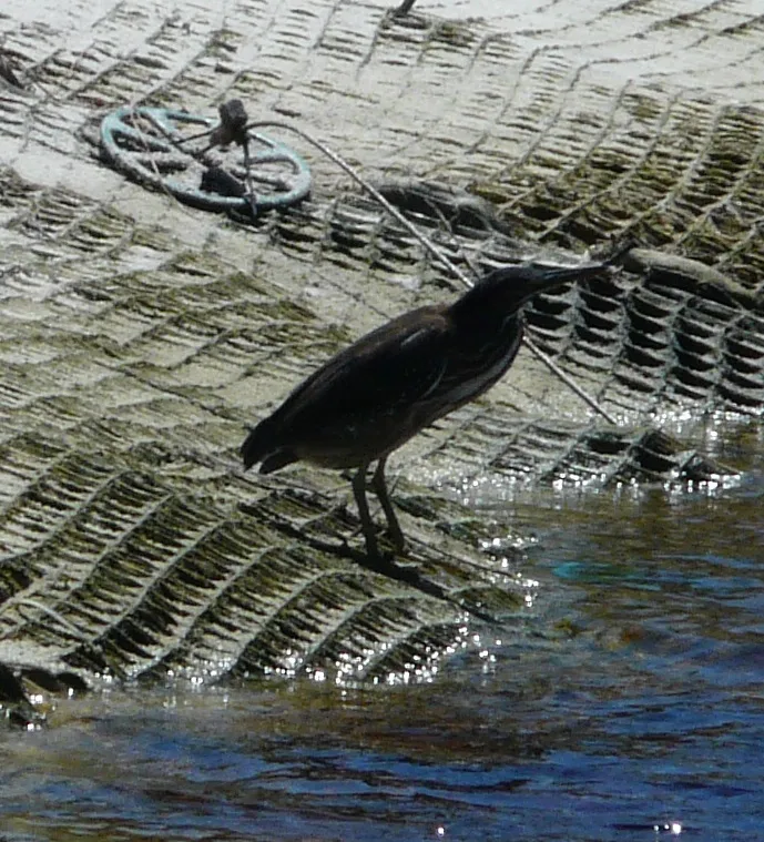 Santa Rosa Beach