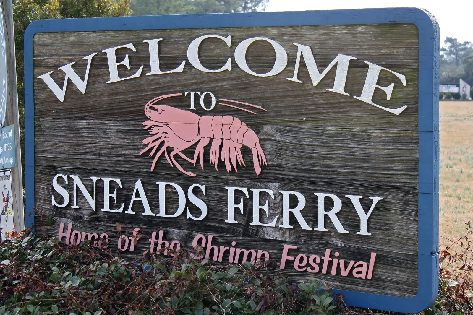 Sneads Ferry — Pisgah National Forest (United States)