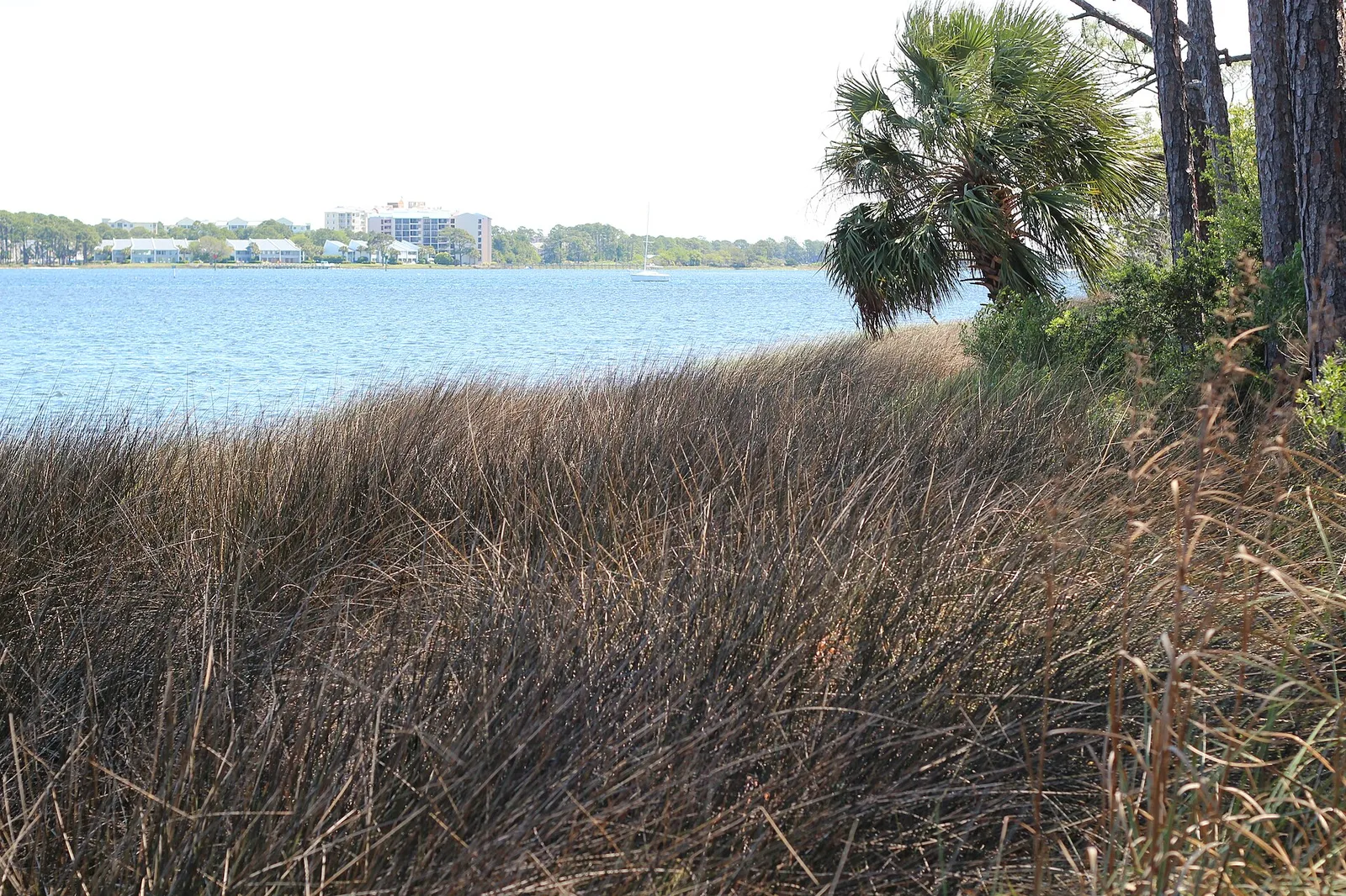 Upper Grand Lagoon