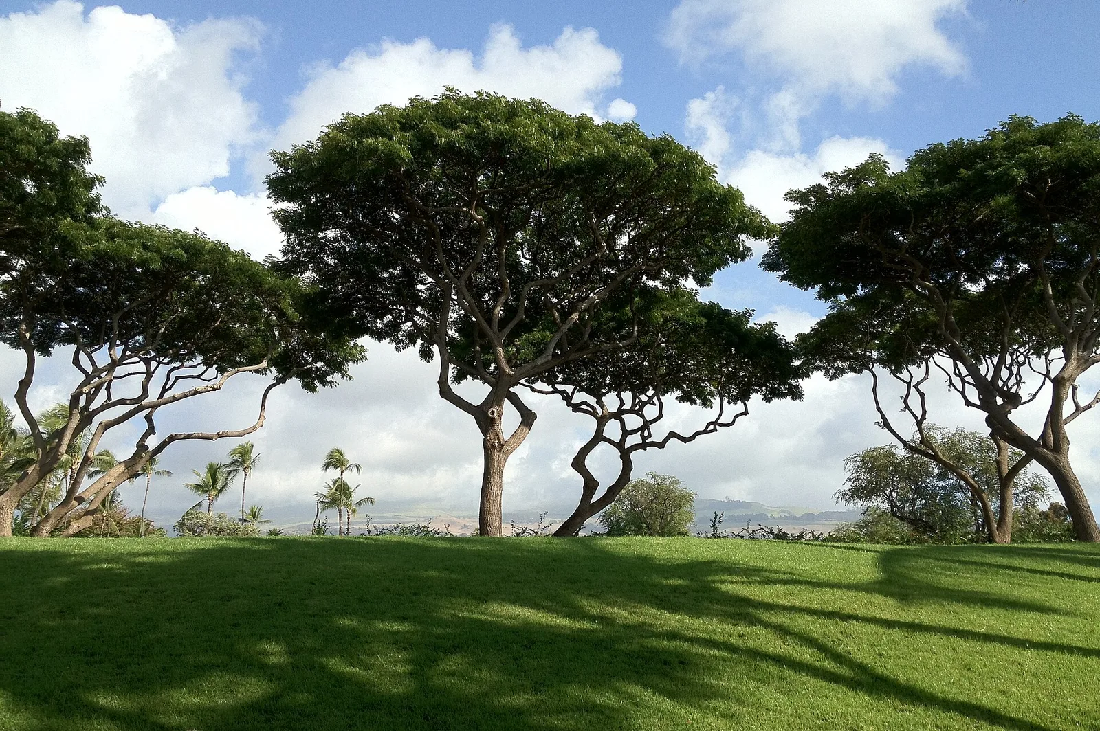 Wailea — Mauna Kea (USA)