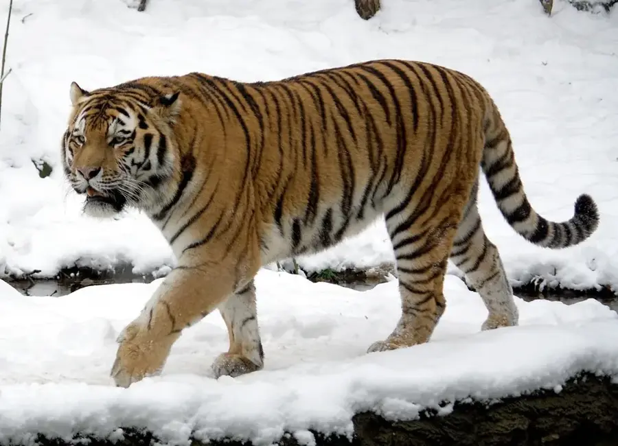 Bukhara Deer Breeding Center