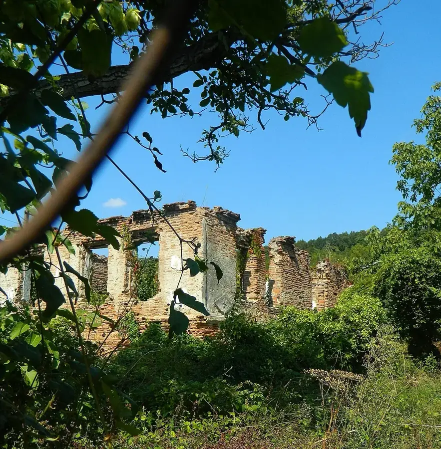 Valea Mare-Podgoria – oraș