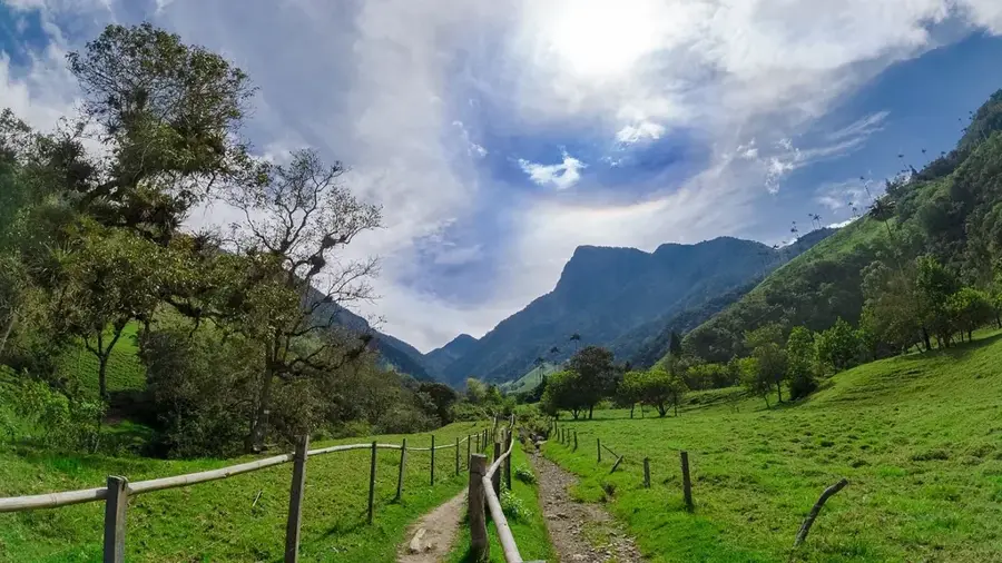 Valea Guadalupe (Mexic)