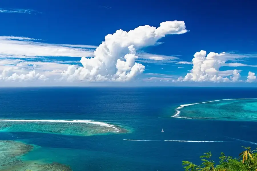 Lonnoc Beach Coral Garden — Mota Island Mission History (Vanuatu)