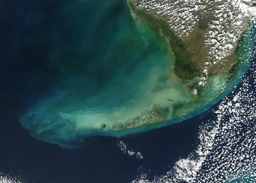 Million Dollar Point Reef