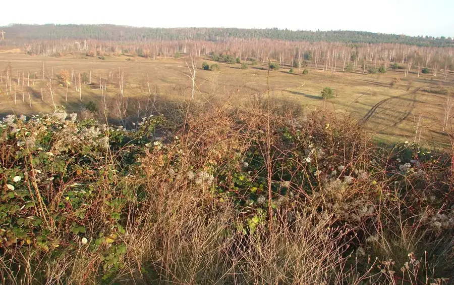 Heliport terasz — Rádióállomás fennsík (Vatikán)