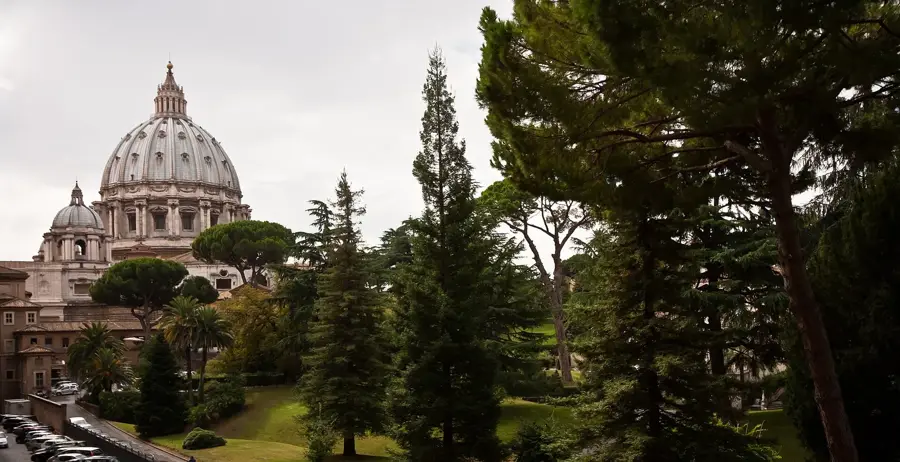 Anexă Depozitare — Aleea Magnoliilor (Vatican)