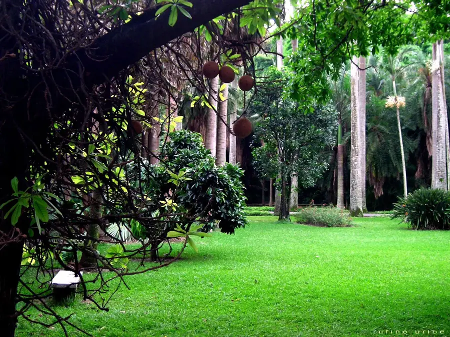 Botanischer Garten Caracas — Los Roques (Venezuela)