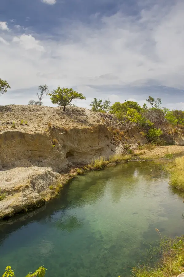 Aguaro-Guariquito Nemzeti Park