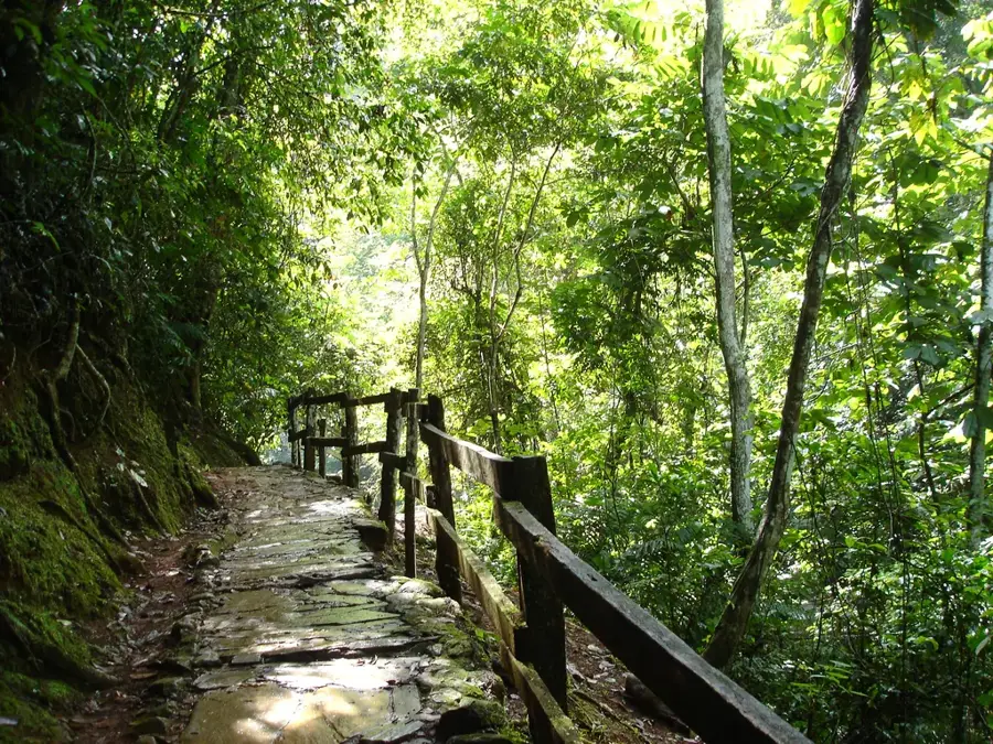 Guatopo Nemzeti Park