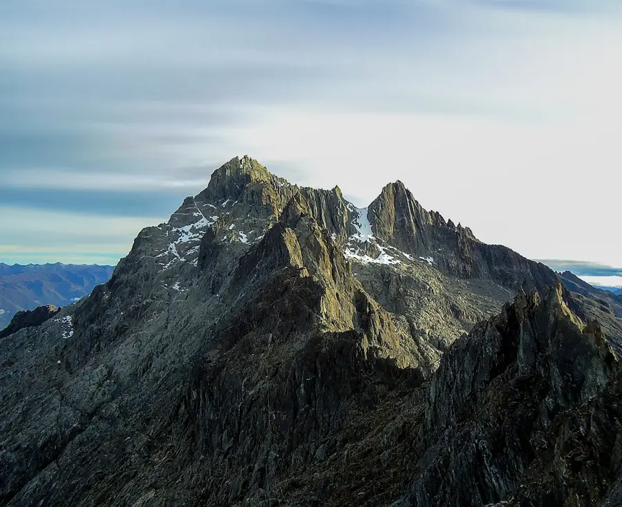 Pico León