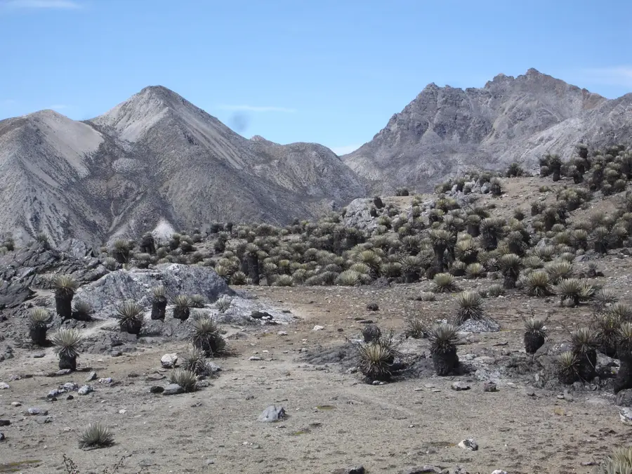 Pico Mucuchíes