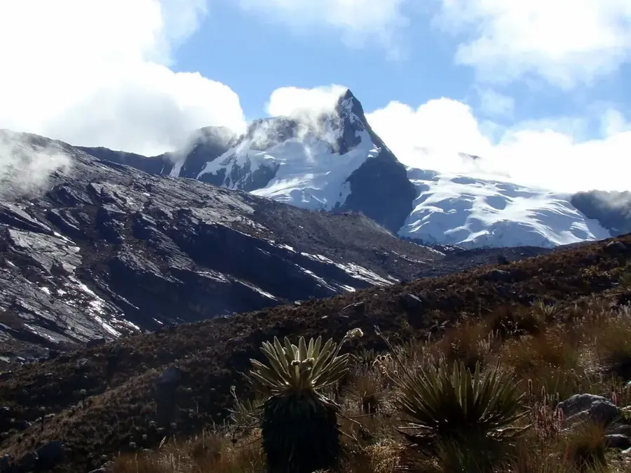 Pico Púlpito — Pico León (Venezuela)