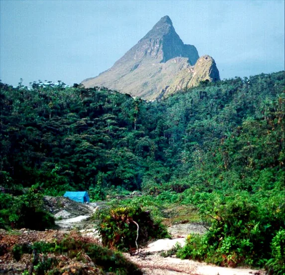 Sierra de la Neblina — Nationalpark Parima-Tapirapecó (Venezuela)