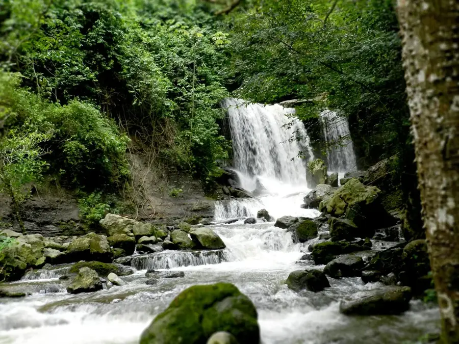 Sierra de San Luis — Pico León (Venezuela)