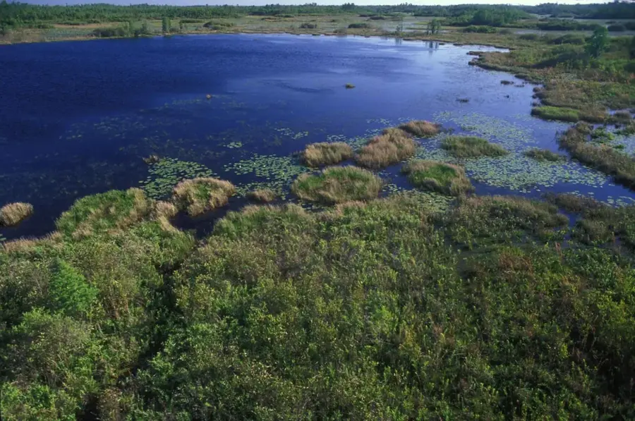 Victoria Falls Wildtierzentrum — Hwange (Simbabwe)