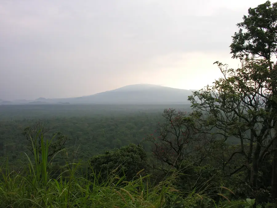 Parcul Național Virunga — Walikale (Congo - Kinshasa)