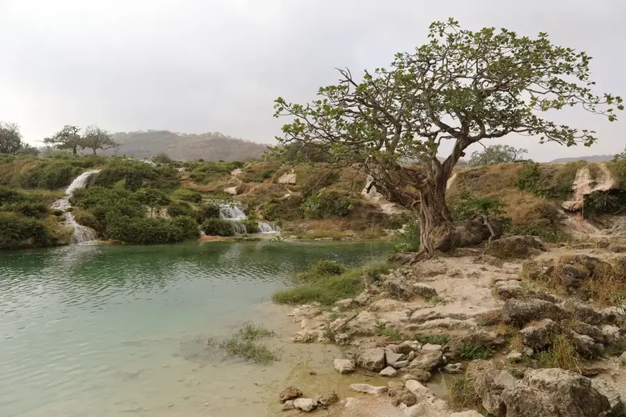 Wadi Darbat — Dschebel Samhan (Oman)