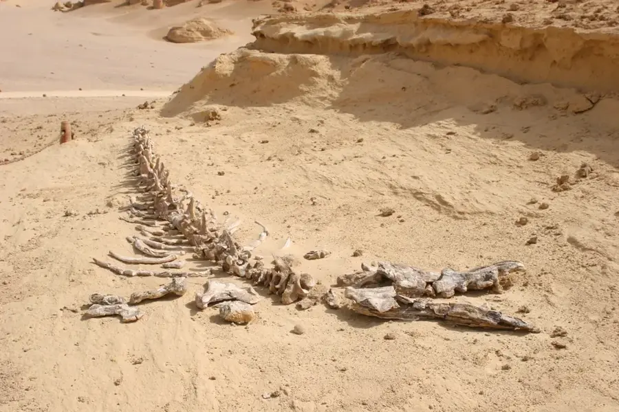 Wadi El Rayan — Faiyum (Egipt)