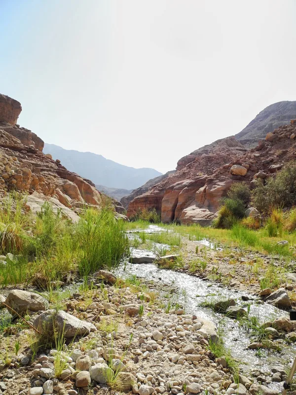 Wadi Numeira