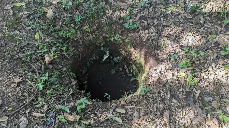 Walumbe Tanda Pits