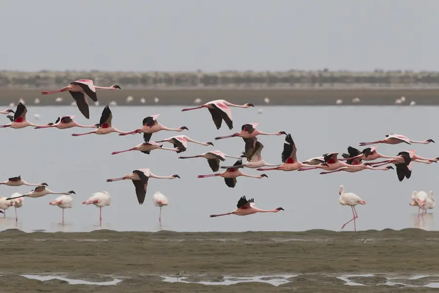 Walvis Bay — Namib-Wüste (Namibia)