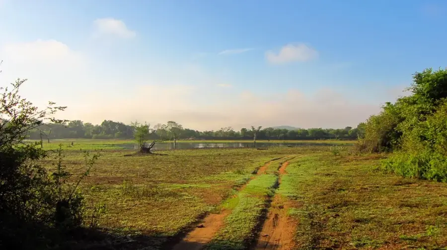 Wasgamuwa-Nationalpark — Polonnaruwa (Sri Lanka)
